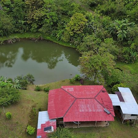 Albergue La Laguna Puerto Jiménez Zewnętrze zdjęcie