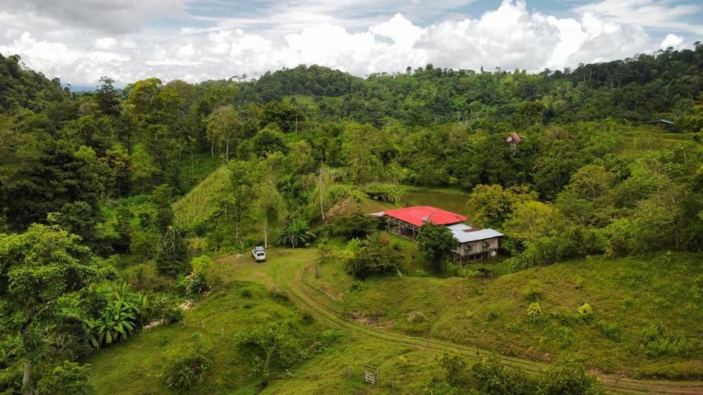Albergue La Laguna Puerto Jiménez Zewnętrze zdjęcie