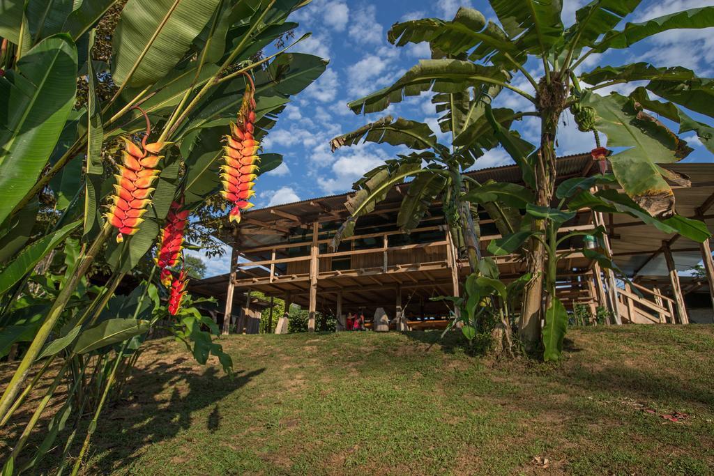 Albergue La Laguna Puerto Jiménez Zewnętrze zdjęcie
