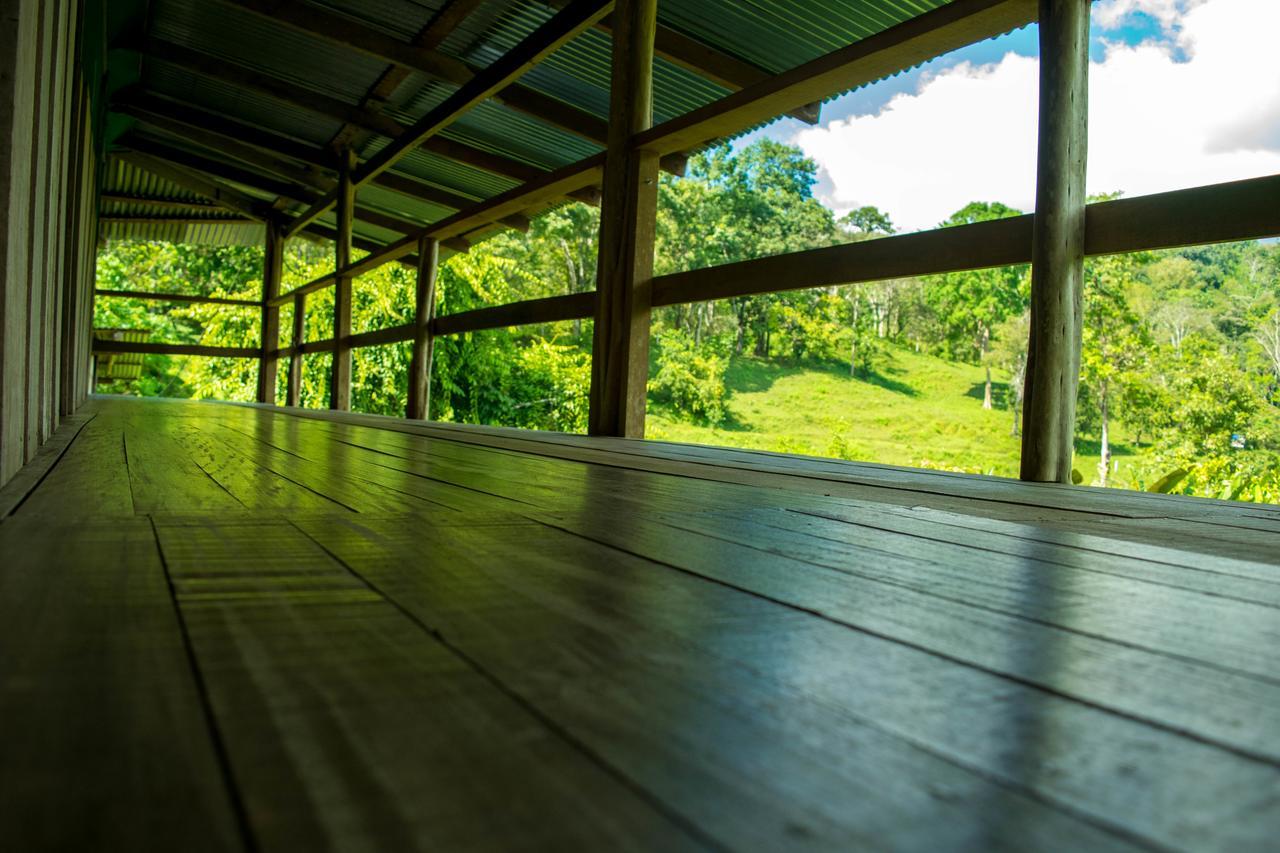 Albergue La Laguna Puerto Jiménez Zewnętrze zdjęcie