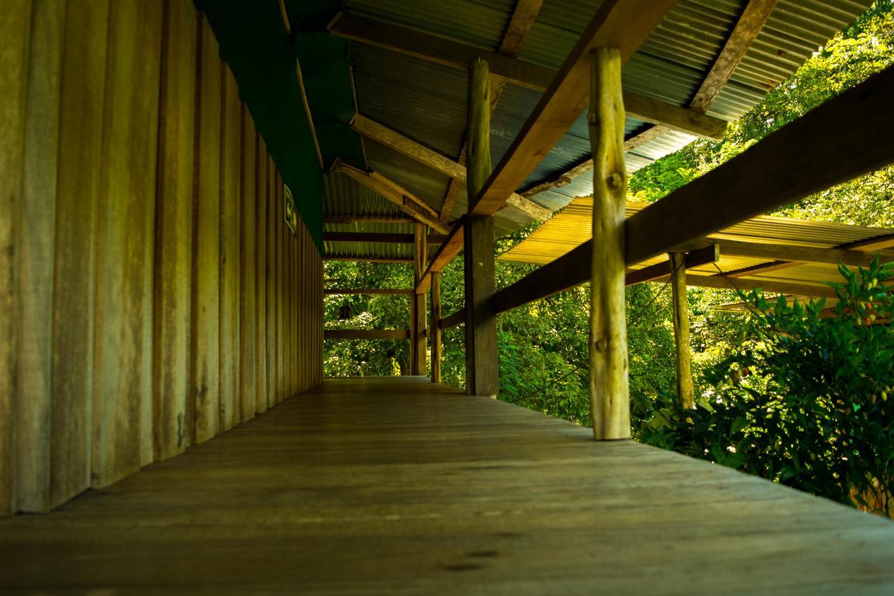 Albergue La Laguna Puerto Jiménez Zewnętrze zdjęcie